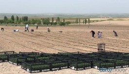 Mansur Yavaş’ın talimatıyla ürünler ihtiyaç sahiplerine dağıtılacak