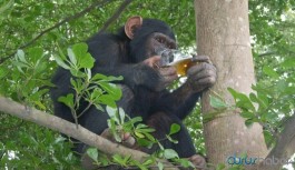 1 kişiyi öldürüp 250 kişiyi yaralayan 'alkolik maymun'a müebbet hapis