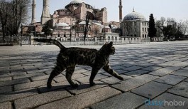 İçişleri Bakanlığı 15 ilde sokağa çıkma yasağının uygulanacağını duyurdu