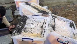 Kaldırıma gömülen cenazeler için Meclis'e çağrı
