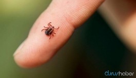 Kırım Kongo Kanamalı Ateşi Bilim Kurulu toplandı