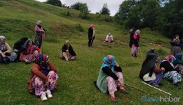 Yaşam alanlarını savunan köylülere gözaltı