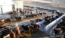 Bayram öncesi korkutan koronavirüs uyarısı