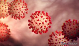 Koronavirüsün yeni tehlikeli özelliği tespit edildi