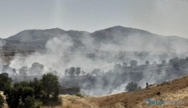 Diyarbakır'da yangın: 300 dönümlük alan kül oldu