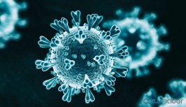 Çarpıcı koronavirüs iddiası: Tam 7 yıldır biliyorlarmış