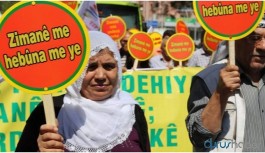 ‘Kürtçe örgütsel bir dil olarak mı kabul edilmektedir?’