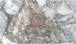 Lice’de patlamamış havan mermisi ve mayın bulundu