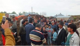 Sele kapılan 50 hayvan telef oldu