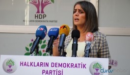 HDP'li Başaran: Soylu bizi sorgulayacak en son kişidir