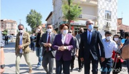 Meral Akşener'den 'erken seçim' açıklaması