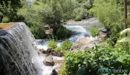 Munzur Gözeleri için imza kampanyası