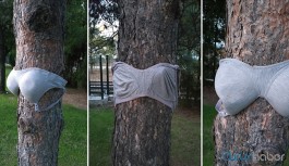 Parkta ağaçlara sütyen asıldı