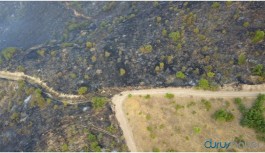 Siirt'te 20 hektarlık alan yandı