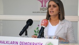 HDP'li Başaran: Orhan'ı sahiplenen iktidar Kadirova için ne yaptı?