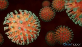 Koronavirüs tedavisinde yeni gelişme