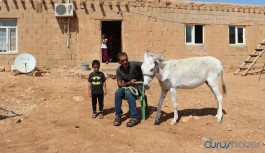 Mardinli çoban taksiti ödeyemezse eşeği elinden alınacak