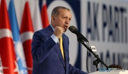 Partili cumhurbaşkanlığı sisteminde davalar patladı