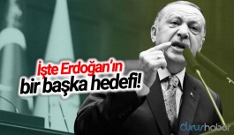 'Erdoğan'ın seçim kazanmaktan, iktidarı korumaktan başka bir hedefi var'