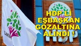 HDP Li Eşbaşkan Gözaltına Alındı