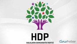 HDP’li vekil hakkında soruşturma başlatıldı