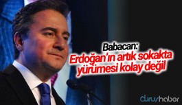 Babacan: Erdoğan'ın artık sokakta yürümesi kolay değil