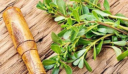 Nohutlu Semizotu Salatası Nasıl Yapılır?