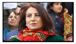 Avrupa Parlamentosu milletvekillerinden ‘Aysel Tuğluk’a özgürlük’ çağrısı