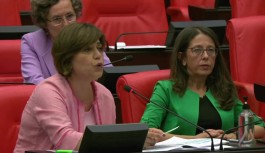 HDP'li Beştaş'tan Mecliste Sert Sözler