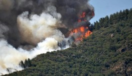 Marmaris'teki orman yangını 4. gününde: Datça-Marmaris karayolu da trafiğe kapatıldı