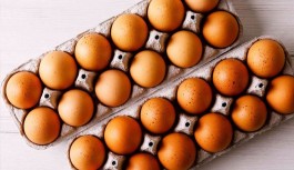 Yumurta üreticileri: Piyasada yumurta tavuğu kalmayacak; vatandaş 30’lu koliyi 100 liraya alacak