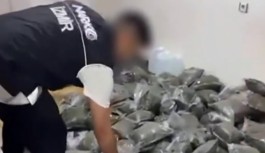 İzmir'de 126 kilogram bonzai ele geçirildi