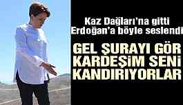 Akşener’den Erdoğan’a Kaz Dağları çağrısı: Gel kardeşim şurayı gör seni kandırıyorlar