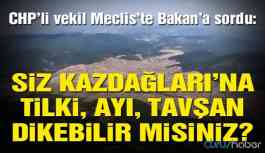 Bakan’a dikkat çeken soru: Siz Kazdağları’na tilki, ayı, tavşan dikebilir misiniz?