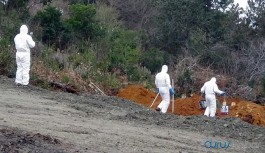İBB açıkladı: Son 24 saatte bulaşıcı...